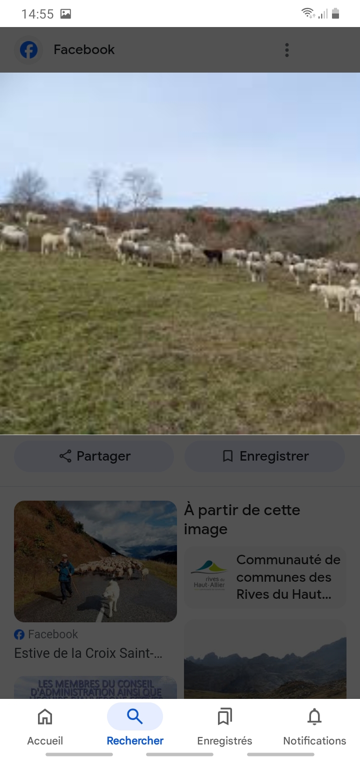 Screenshot_20250111-145536_Google.jpg